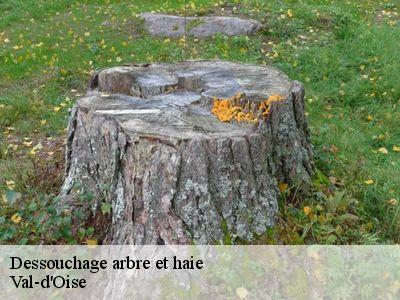 Dessouchage arbre et haie Val-d'Oise