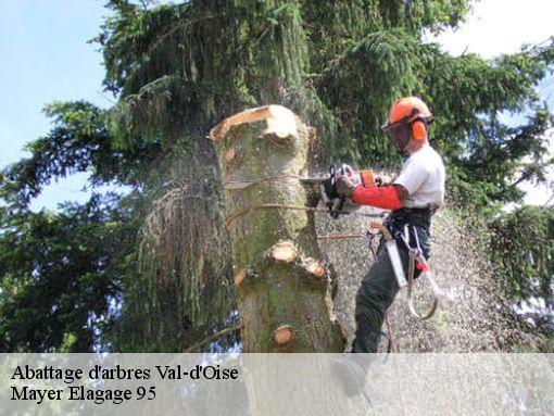 Abattage d'arbres 95 Val-d'Oise Mayer Elagage 95