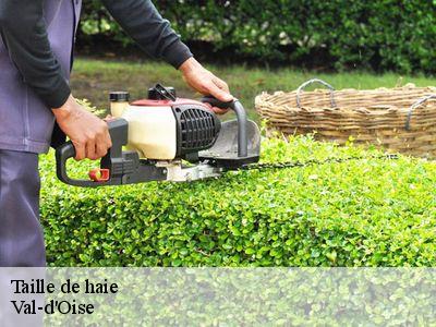Taille de haie Val-d'Oise