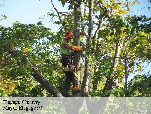 Elagage chauvry-95560 Mayer Elagage 95