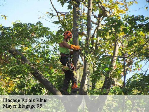 Elagage epiais-rhus-95810 Mayer Elagage 95