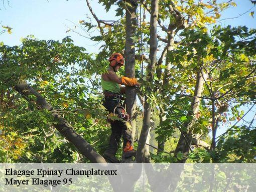 Elagage  epinay-champlatreux-95270 Mayer Elagage
