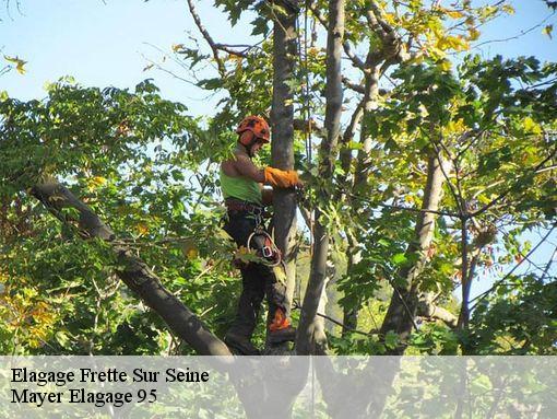 Elagage frette-sur-seine-95530 Mayer Elagage 95