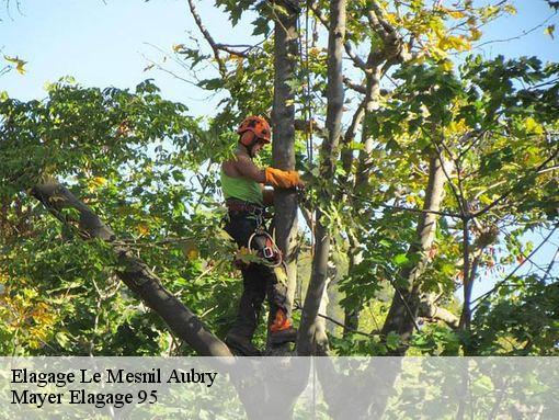 Elagage  le-mesnil-aubry-95720 Mayer Elagage