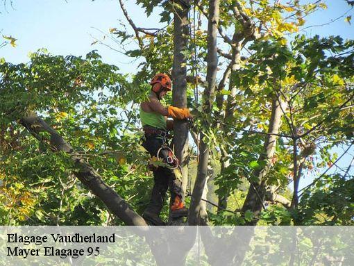 Elagage vaudherland-95500 Mayer Elagage 95