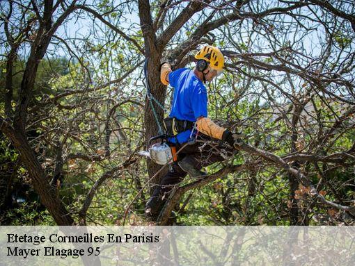 Etetage cormeilles-en-parisis-95240 Mayer Elagage 95