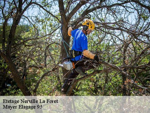 Etetage nerville-la-foret-95590 Mayer Elagage 95