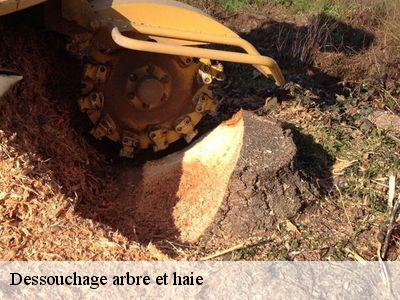 Dessouchage arbre et haie