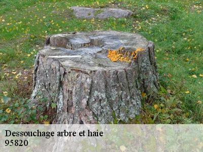 Dessouchage arbre et haie 95820