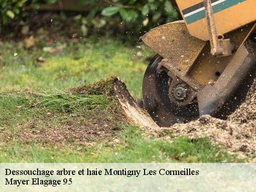 Dessouchage arbre et haie  montigny-les-cormeilles-95370 Mayer Elagage 95