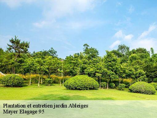 Plantation et entretien jardin  ableiges-95450 Mayer Elagage 95