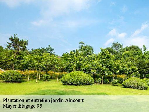 Plantation et entretien jardin  aincourt-95510 Mayer Elagage 95