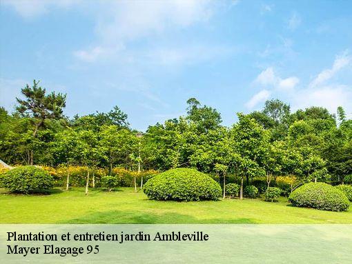 Plantation et entretien jardin  ambleville-95710 Mayer Elagage 95