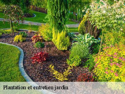 Plantation et entretien jardin