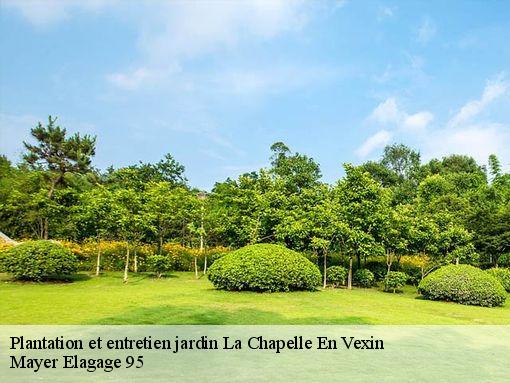Plantation et entretien jardin  la-chapelle-en-vexin-95420 Mayer Elagage 95