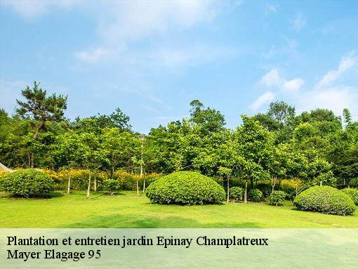 Plantation et entretien jardin epinay-champlatreux-95270 Mayer Elagage 95