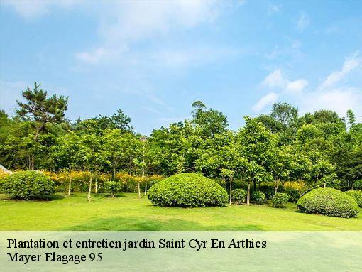 Plantation et entretien jardin saint-cyr-en-arthies-95510 Mayer Elagage 95