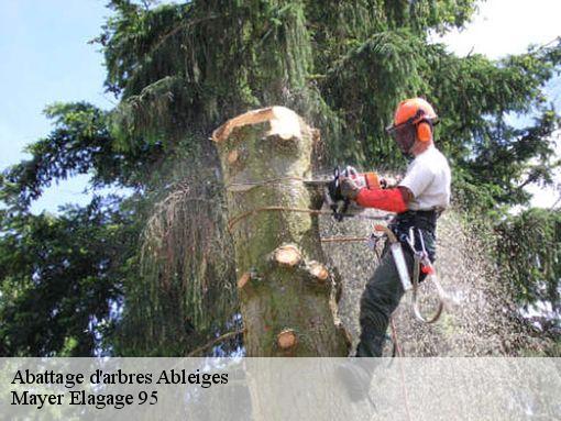 Abattage d'arbres  ableiges-95450 Mayer Elagage 95