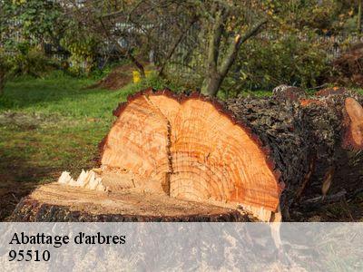 Abattage d'arbres  95510