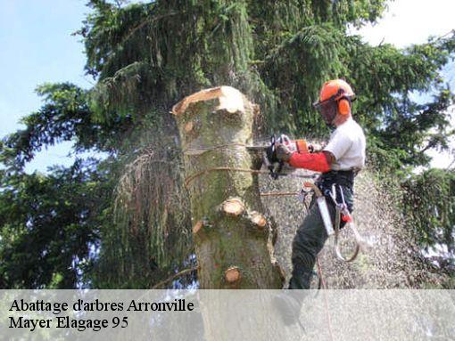 Abattage d'arbres  arronville-95810 Mayer Elagage 95