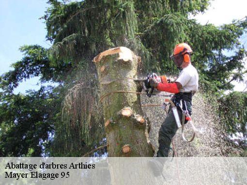 Abattage d'arbres  arthies-95420 Mayer Elagage 95