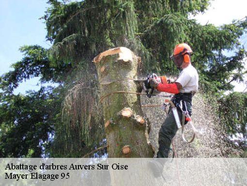 Abattage d'arbres  auvers-sur-oise-95430 Mayer Elagage 95