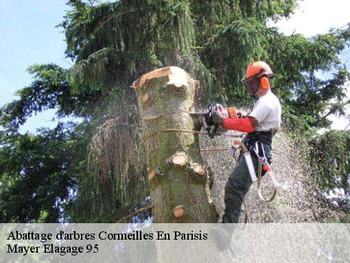 Abattage d'arbres cormeilles-en-parisis-95240 Mayer Elagage 95