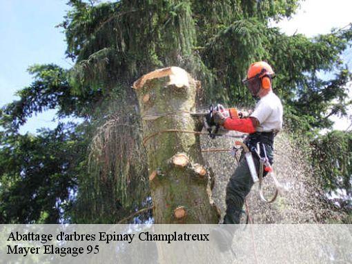 Abattage d'arbres  epinay-champlatreux-95270 Mayer Elagage