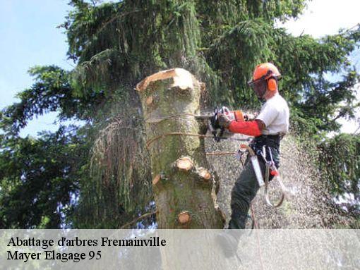 Abattage d'arbres  fremainville-95450 Mayer Elagage 95