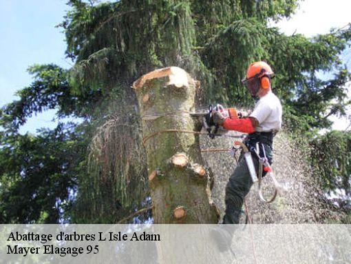 Abattage d'arbres l-isle-adam-95290 Mayer Elagage 95