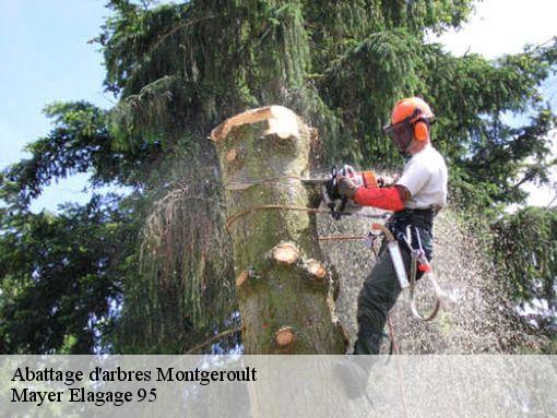Abattage d'arbres montgeroult-95650 Mayer Elagage 95
