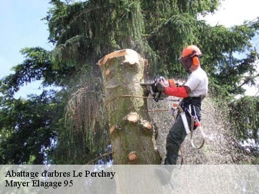 Abattage d'arbres  le-perchay-95450 Mayer Elagage 95