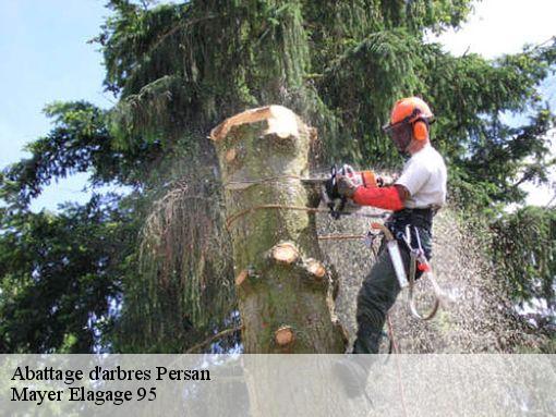 Abattage d'arbres persan-95340 Mayer Elagage 95