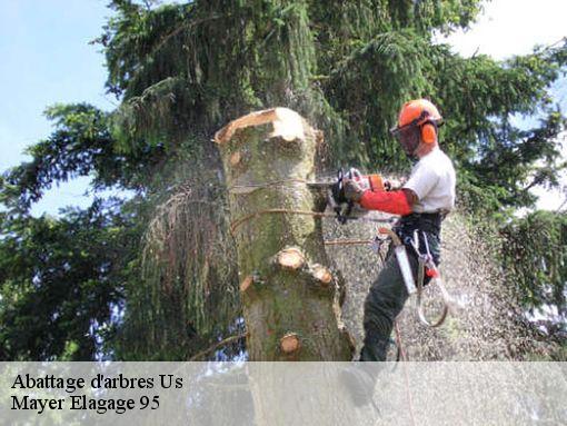 Abattage d'arbres  us-95450 Mayer Elagage 95