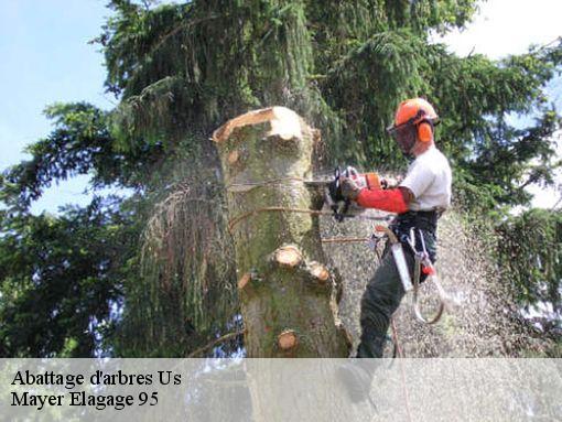Abattage d'arbres us-95450 Mayer Elagage 95