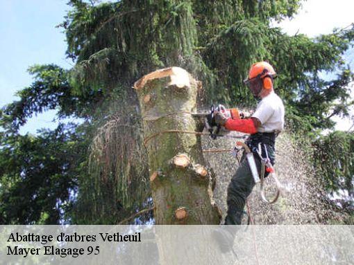 Abattage d'arbres vetheuil-95510 Mayer Elagage 95