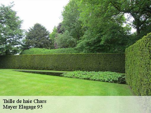 Taille de haie chars-95750 Mayer Elagage 95