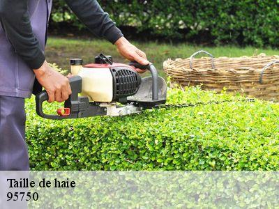 Taille de haie 95750