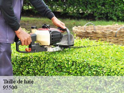 Taille de haie 95500