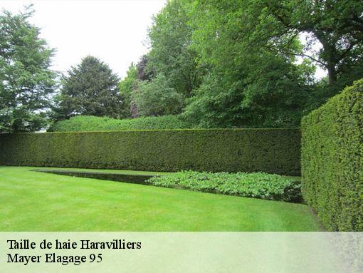 Taille de haie  haravilliers-95640 Mayer Elagage 95