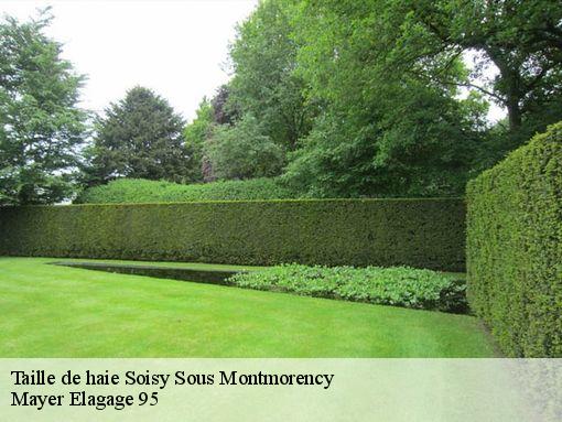 Taille de haie soisy-sous-montmorency-95230 Mayer Elagage 95