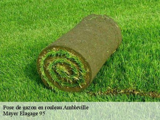 Pose de gazon en rouleau  ambleville-95710 Mayer Elagage 95