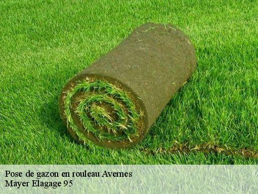 Pose de gazon en rouleau  avernes-95450 Mayer Elagage 95