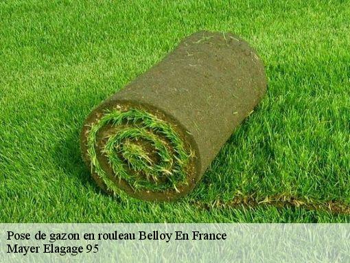 Pose de gazon en rouleau  belloy-en-france-95270 Mayer Elagage 95