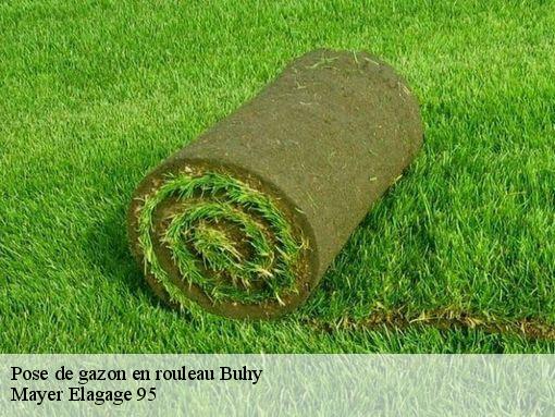 Pose de gazon en rouleau buhy-95770 Mayer Elagage 95