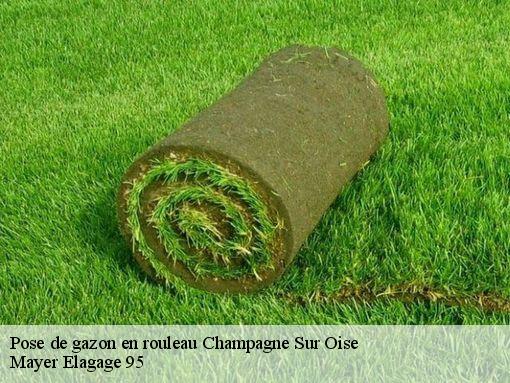 Pose de gazon en rouleau champagne-sur-oise-95660 Mayer Elagage 95