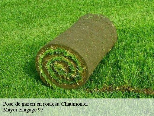 Pose de gazon en rouleau  chaumontel-95270 Mayer Elagage 95