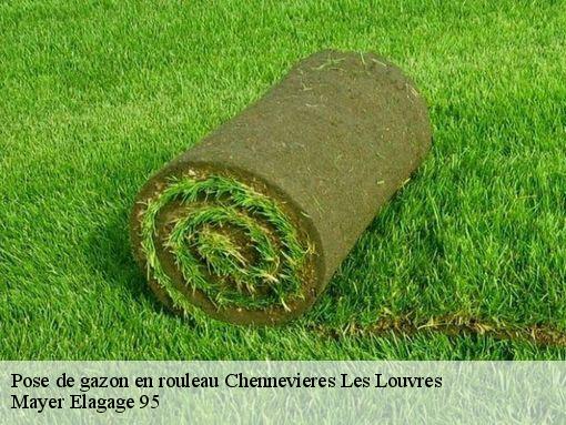 Pose de gazon en rouleau  chennevieres-les-louvres-95380 Mayer Elagage 95