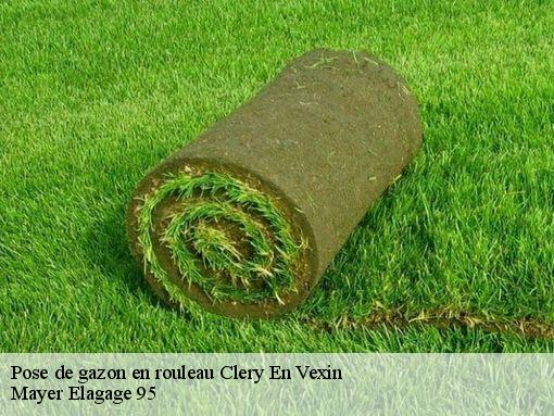 Pose de gazon en rouleau clery-en-vexin-95420 Mayer Elagage 95