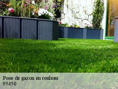 Pose de gazon en rouleau 95450